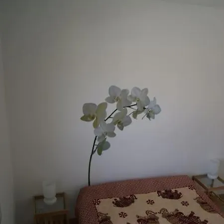 Maisonnette Climatisee 46 M2 Andernos-les-Bains
