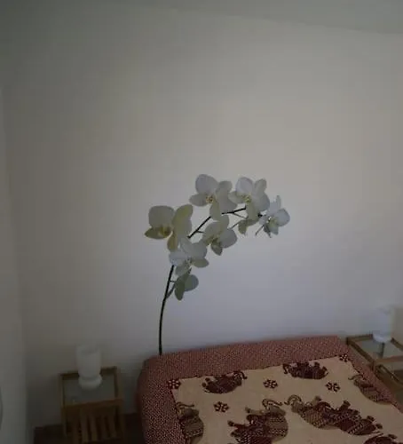Maisonnette Climatisee 46 M2 Андерно-ле-Бэн