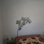 Maisonnette Climatisee 46 M2 أنديرنو لي بان